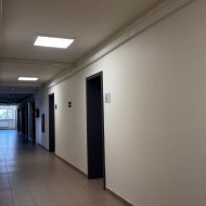 Lokal na wynajem