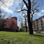 Lokal na sprzedaż
