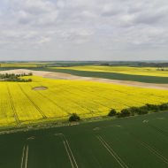 Dom na sprzedaż